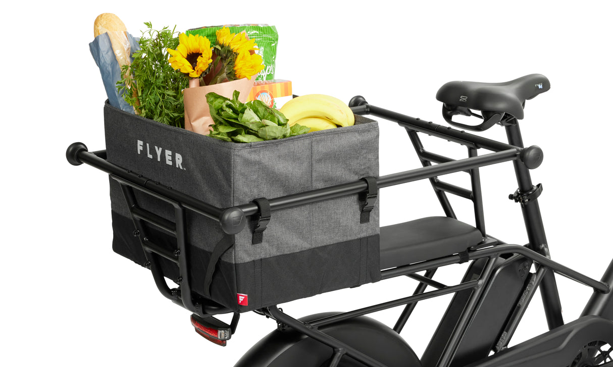 Radio Flyer Carry & Go Tote Bag