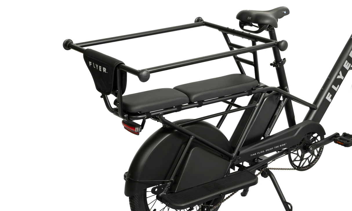 Radio Flyer Kid & Cargo Carrier Hoop – 2 Kids