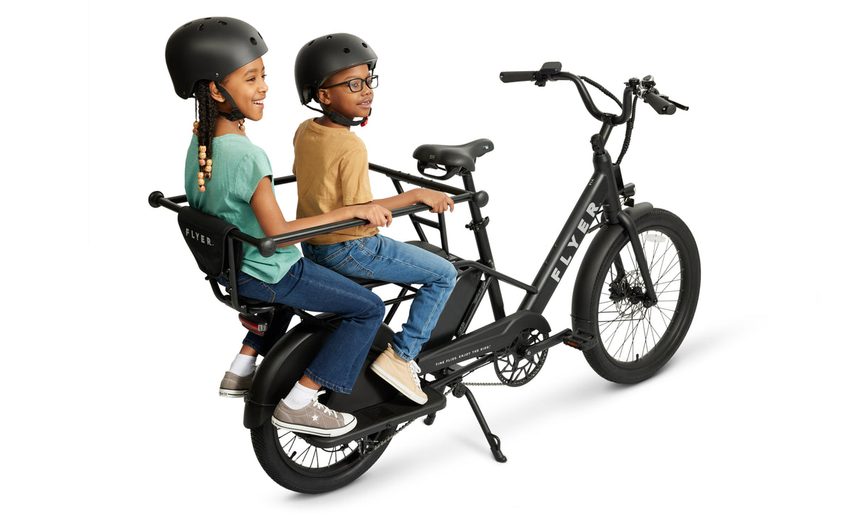 Radio Flyer Kid & Cargo Carrier Hoop – 2 Kids