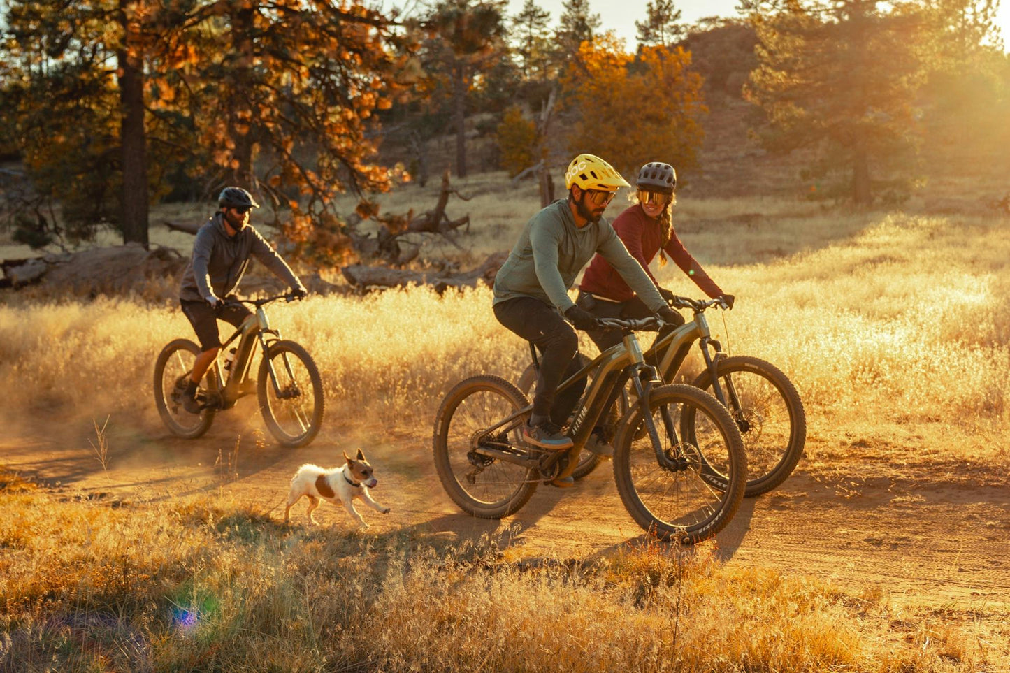 Aventon Ramblas Mid-Drive eMTB Bike