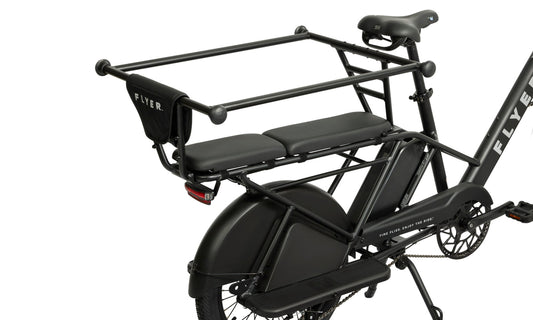 Radio Flyer Kid & Cargo Carrier Hoop – 2 Kids
