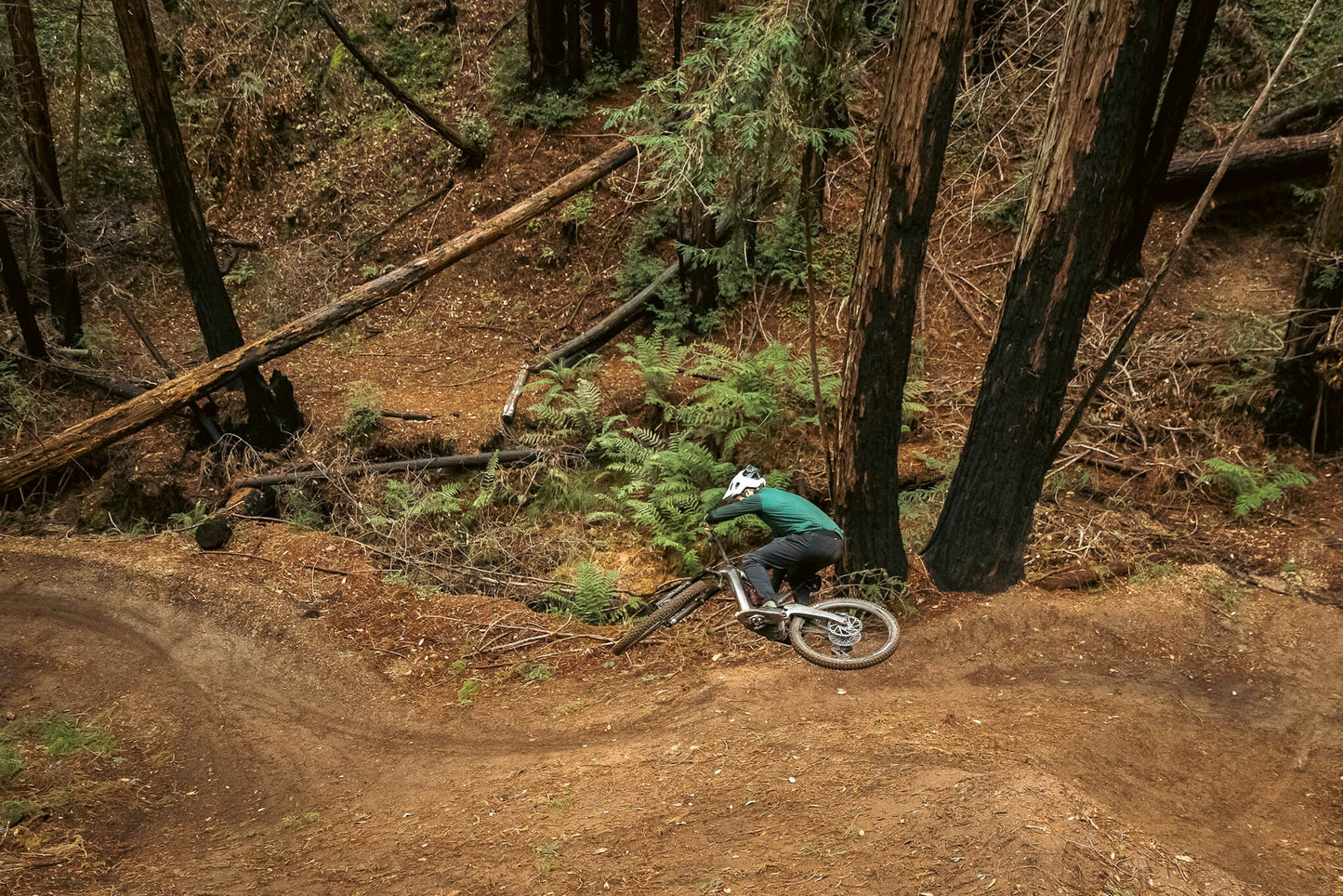 Ibis Oso eMTB Ebike