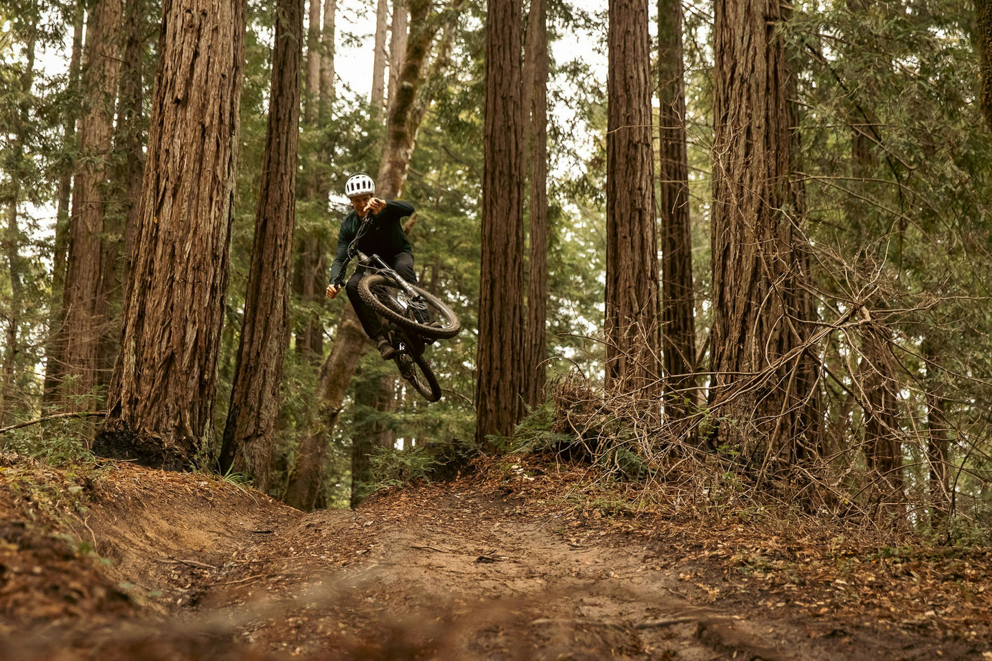 Ibis Oso eMTB Ebike